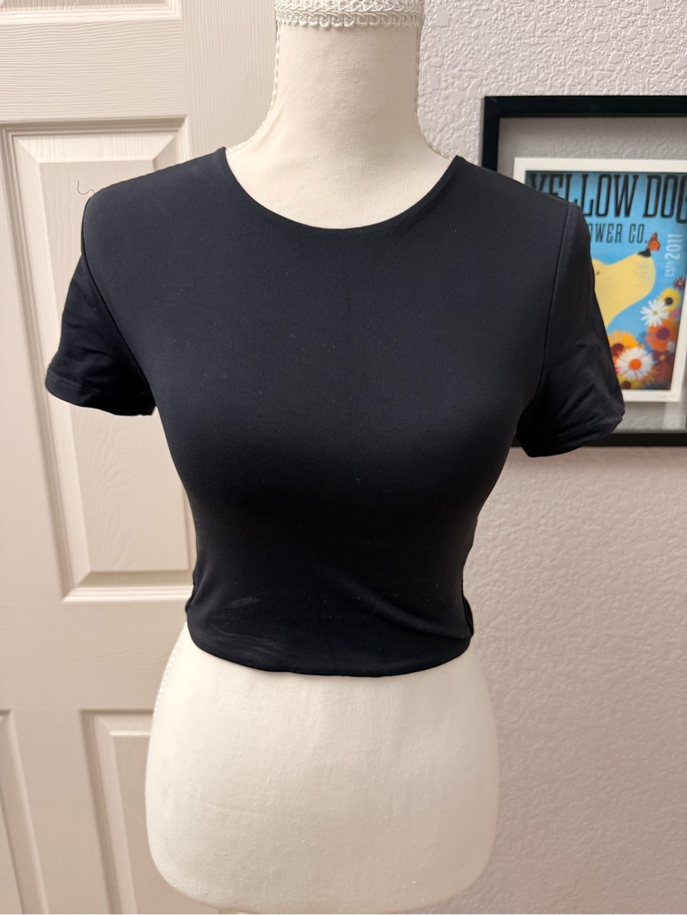Babaton Aritzia size S cropped T